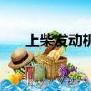 上柴发动机故障码查询（上柴发动机）
