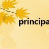 principal的中文意思（principal）