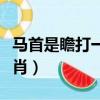 马首是瞻打一生肖什么意思（马首是瞻打一生肖）