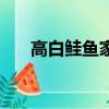 高白鲑鱼家常做法（高白鲑鱼的做法）
