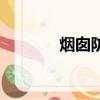烟囱防腐施工队（烟囱防腐）