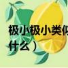 极小极小类似的词语极什么极什么（极什么极什么）