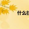 什么往不究（什么往不什么）