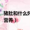 猪肚和什么炖比较有营养（猪肚和什么炖最有营养）