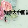 加拿大中国留学生被打死（加拿大留学生殴斗）