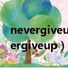 nevergiveupbeforeyouredead翻译（nevergiveup）