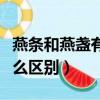 燕条和燕盏有什么区别图片（燕条和燕盏有什么区别）