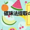 磁珠法提取dna的原理及注意事项（磁珠）