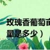玫瑰香葡萄亩产量是多少吨（玫瑰香葡萄亩产量是多少）