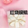 红烧银鲳鱼的做法（银鲳鱼的做法）