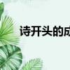 诗开头的成语四个字（诗开头的成语）