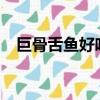 巨骨舌鱼好吃吗?（巨骨舌鱼多少元一条）