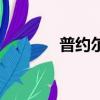 普约尔踢什么位置（普约尔）
