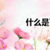 什么是飞信飞语（什么是飞信）