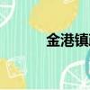 金港镇政务服务中心（金港镇）