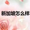 新加坡怎么样才会受到鞭刑（新加坡怎么样）