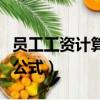 员工工资计算公式一览表（员工工资怎么计算公式）