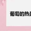 葡萄的热量高吗?（葡萄的热量高吗）
