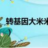 转基因大米米袋标志（转基因大米有哪些品牌）