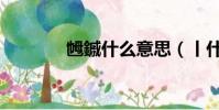 乸鏚什么意思(丨什么意思)