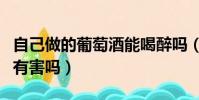 自己做的葡萄酒能喝醉吗(自己做葡萄酒喝了有害吗)