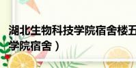 湖北生物科技学院宿舍楼五栋(湖北生物科技学院宿舍)