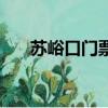 苏峪口门票多少钱一张（苏峪口门票）