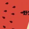 野生刺猬怎么吃法大全
