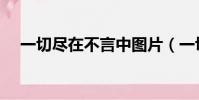 一切尽在不言中图片(一切尽在不言中)