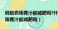 蚂蚁农场青汁能减肥吗?什么时候喝(蚂蚁农场青汁能减肥吗)