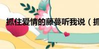 抓住爱情的藤蔓听我说(抓住爱情的藤蔓)