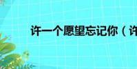 许一个愿望忘记你(许一个愿望)