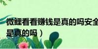 微鲤看看赚钱是真的吗安全吗(微鲤看看赚钱是真的吗)