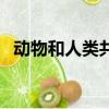 动物和人类共同生活在地球上（动物和人）