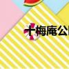 十梅庵公园要门票吗（十梅庵公园）
