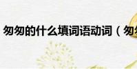匆匆的什么填词语动词(匆匆的什么填动词)