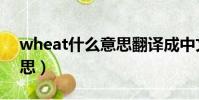 wheat什么意思翻译成中文(wheat什么意思)