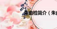 朱由检简介(朱由检)