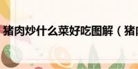 猪肉炒什么菜好吃图解(猪肉炒什么菜好吃)