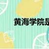 黄海学院是公办吗（黄海学院怎么样）
