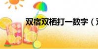 双宿双栖打一数字(双宿双栖)