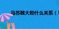 马苏魏大勋什么关系(马苏魏大勋)