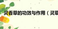 灵香草的功效与作用(灵草的功效与作用)