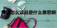 旖旎怎么读音是什么意思啊(旖旎怎么读音)