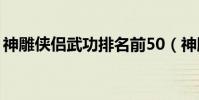 神雕侠侣武功排名前50(神雕侠侣武功排名)