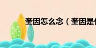 奎因怎么念(奎因是什么意思)