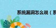 系统漏洞怎么说(系统漏洞)