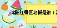 沈阳红番区老板是谁(沈阳红番区)
