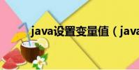 java设置变量值(java变量设置)