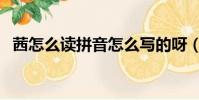 茜怎么读拼音怎么写的呀(茜怎么读拼音)